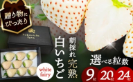【先行予約】 ＼毎年1月より順次発送／ 白いちご　White Fairy 20粒 愛西市 / くぼ苺農園 【配達不可：北海道・沖縄・離島】 [AECJ017]