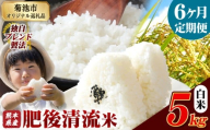 【6ヶ月定期便】熊本県産 白米 肥後清流米 5kg 熊本県産 ふるさと納税 精米 米 こめ ふるさとのうぜい コメ お米 おこめ《1月から出荷開始》