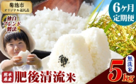 【6ヶ月定期便】熊本県産 無洗米 肥後清流米 5kg 熊本県産 ふるさと納税 精米 米 こめ ふるさとのうぜい コメ お米 おこめ《1月から出荷開始》