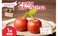 YAMAGATA FRUITS BAUM さくらんぼ バウムクーヘン 数量限定 10～12月発送 または 5～6月発送