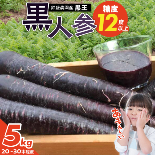 【期間限定】おどろきの甘さと抗酸化力！　黒人参『黒王』5Kg　にんじん スーパーフード 健康 メロン みかん 甘い 糖度 ジュース 自慢 カラフル ブラック キャロット 農作物 自然 野菜 老化防止 H022-014
 2271324 - 愛知県碧南市