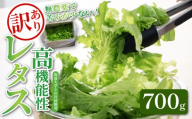 訳あり 高機能性 レタス 無農薬 700g グリーンオーク 産地直送 高機能性野菜 水耕栽培 新鮮 健康 弁当 フードロス ダイエット ベジタブル ヴィーガン ベジタリアン アイクス 埼玉県 羽生市