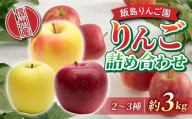 【飯島りんご園】旬の色々りんごの詰め合わせセット　3kg（2～3種）※10月中旬～順次発送