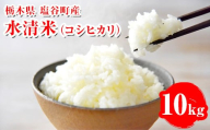 水清米（コシヒカリ）10kg｜こしひかり 米 新米 精米 こめ コメ 名水百選 国産 産地直送 期間限定 栃木県 塩谷町 ※2025年10月上旬頃より順次発送予定