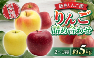 【飯島りんご園】旬の色々りんごの詰め合わせセット　5kg（2～3種）　※10月中旬～順次発送