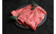 【3月お届け】【 近江牛 すき焼き用 赤身 280g 】 黒毛和牛 冷凍 肉 牛肉 ふるさと納税 ブランド牛 近江牛 三大和牛 和牛 すき焼き しゃぶしゃぶ 肉じゃが 滋賀県 竜王