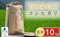 [先行予約] げんき米 コシヒカリ 玄米 10kg 特別栽培米 令和8年産 R8年 玄米 米 こめ コメ お米 ご飯 国産米 こしひかり 10キロ 石川県産 小松市産 | 石川県 小松市 [エコファーム北陸]