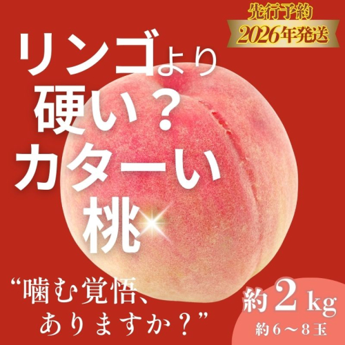 【2026年　先行予約】日本一の産地山梨県産　朝採れカターい桃２Kg（5～8房）|山梨 桃 もも モモ フルーツ 硬い桃 固い桃 2272144 - 山梨県都留市