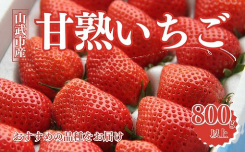 【先行予約】【12月中旬から発送】山武市産 甘熟いちご 800g以上 おすすめの品種をお届け ／ふるさと納税 いちご イチゴ 苺 果物 くだもの フルーツ 旬のくだもの 季節のフルーツ 千葉県 山武市 SMB001