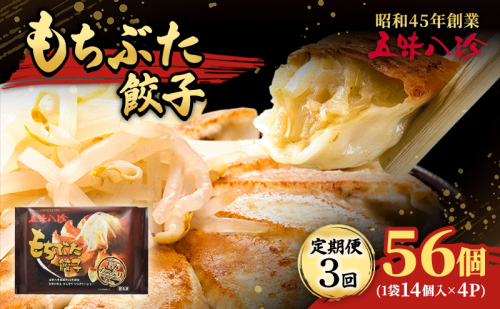 【定期便3回】 もちぶた餃子56個（1袋14個入×4パック） 五味八珍 餃子 ぎょうざ ギョウザ 国産 ブランド豚 もち豚 浜松餃子 冷凍餃子 冷凍 さっぱり 甘み 惣菜 中華 点心 静岡県 浜松市 2272309 - 静岡県浜松市