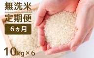 [定期便]1粒からこだわる1等級米 元気つくし 無洗米(10kg×6回)