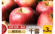 【25年10月～発送】りんご  千雪 約3kg カワムラファーム 贈答用【先行受付】 青森 果物 フルーツ 林檎 リンゴ くだもの 予約【レビューキャンペーン】