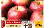 【25年10月～発送】りんご  千雪 約6kg カワムラファーム 贈答用【先行受付】 青森 果物 フルーツ 林檎 リンゴ くだもの 予約【レビューキャンペーン】