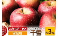 【25年10月～発送】りんご  千雪 約3kg カワムラファーム 家庭用【先行受付】 青森 果物 フルーツ 林檎 リンゴ くだもの 予約【レビューキャンペーン】