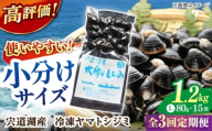 【全3回定期便】生産量日本一！宍道湖産 ヤマトシジミLサイズ（真空冷凍） 80g×15袋 島根県松江市/有限会社日本シジミ研究所 [ALBS006]