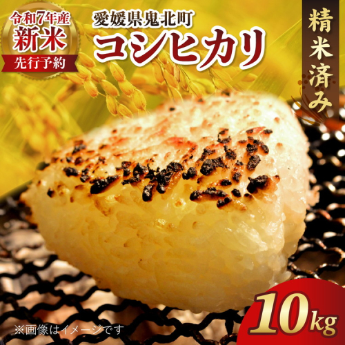 【R7年産新米】愛媛県産 コシヒカリ 10kg ｜ ご飯 白米 お米 令和7年産 5kg 10kg 20kg 精米済み ※2025年10月上旬～12月下旬頃に順次発送予定 ※離島への配送不可 2273064 - 愛媛県鬼北町