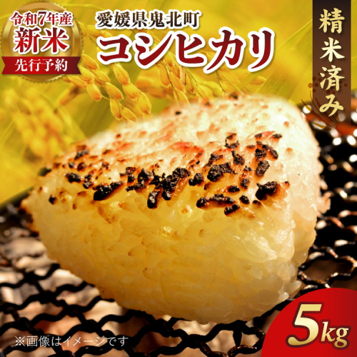 【R7年産新米】愛媛県産 コシヒカリ 5kg ｜ ご飯 白米 お米 令和7年産 5kg 10kg 20kg 精米済み ※2025年10月上旬～12月下旬頃に順次発送予定 ※離島への配送不可 2273065 - 愛媛県鬼北町