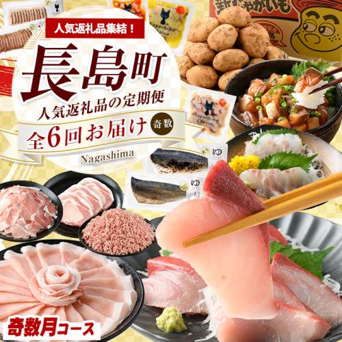 《奇数月発送全6回》全事業者 長島町スペシャル定期便 nagashima-1538 2273125 - 鹿児島県長島町