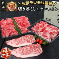 【福袋★2026】宮崎牛切り落とし・鉄板焼き用サーロイン2枚セット_AE-2501-F2026