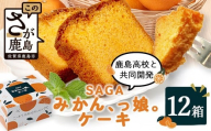 【鹿島高校 共同開発返礼品】SAGAみかん、っ娘。ケーキ 12箱（合計48個入り）E-169 スイーツ ケーキ 焼き菓子 焼菓子 みかん ミカン 蜜柑 みかんケーキ ミカンケーキ お土産 ご当地スイーツ プレゼント ギフト おみやげ