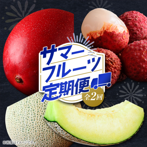 サマーフルーツ定期便 全2回 ＜メロン・マンゴー＆ライチ＞※2026年6月開始 旬 果物【E242】 2273359 - 宮崎県新富町
