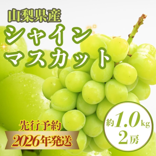 【2026年 先行予約】山梨県産　シャインマスカット 約1.0kg ２房 2273446 - 山梨県都留市