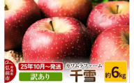 【25年10月～発送】りんご  千雪 約6kg カワムラファーム 訳あり【先行受付】 青森 果物 フルーツ 林檎 リンゴ くだもの 予約【レビューキャンペーン】