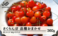 【先行予約】 さくらんぼ 品種おまかせ 秀品 L玉 180g×2パック 2026年産 令和8年産 山形県産 mm-saosl360