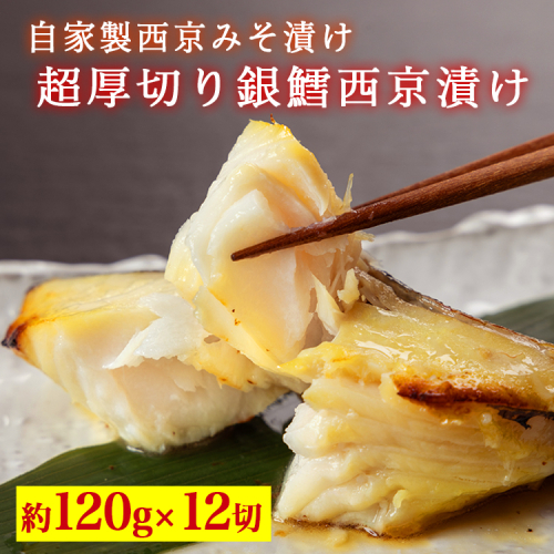 超厚切り銀鱈西京漬 12切入 ※北海道・青森・九州・沖縄・離島への配送不可 2273597 - 富山県魚津市