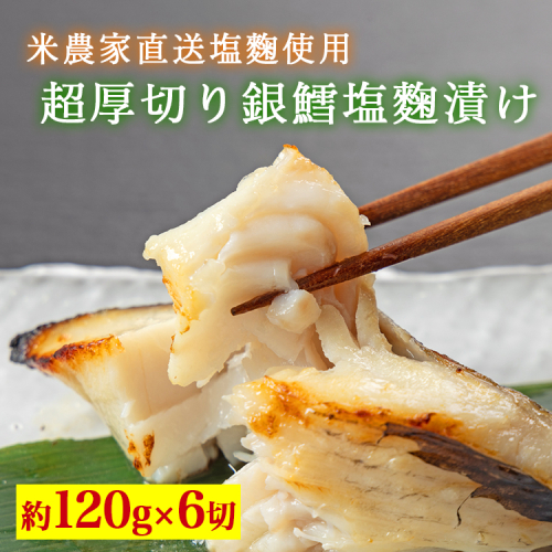超厚切り銀鱈塩麹漬 6切入 ※北海道・青森・九州・沖縄・離島への配送不可 2273598 - 富山県魚津市