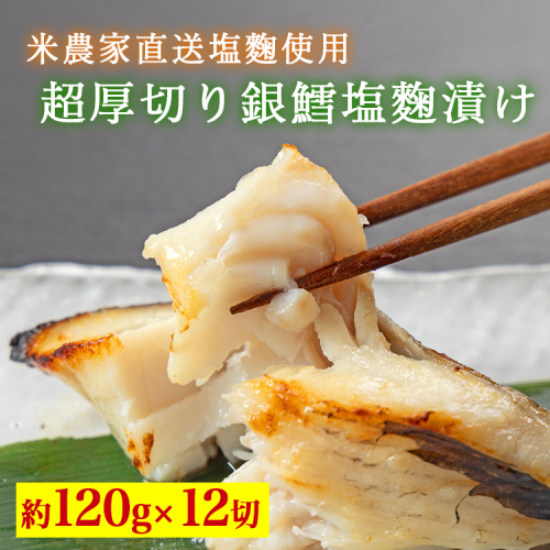超厚切り銀鱈塩麹漬 12切入 ※北海道・青森・九州・沖縄・離島への配送不可 2273599 - 富山県魚津市