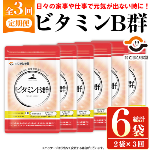No.1300-A ＜定期便・全3回(隔月)＞ビタミンB群(1袋31粒入/2袋×3回・計6袋) 鹿児島 日置市 健康食品 サプリ 栄養バランス 食生活 安心安全 ビタミン 定期便 【てまひま堂】 2273601 - 鹿児島県日置市