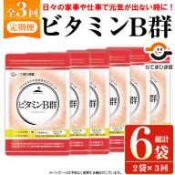 No.1300-A ＜定期便・全3回(隔月)＞ビタミンB群(1袋31粒入/2袋×3回・計6袋) 鹿児島 日置市 健康食品 サプリ 栄養バランス 食生活 安心安全 ビタミン 定期便 【てまひま堂】