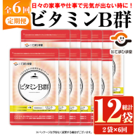 No.1300-B ＜定期便・全6回(隔月)＞ビタミンB群(1袋31粒入/2袋×6回・計12袋) 鹿児島 日置市 健康食品 サプリ 栄養バランス 食生活 安心安全 ビタミン 定期便 【てまひま堂】