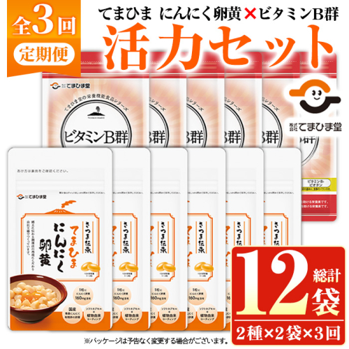 No.1298-A ＜定期便・全3回(隔月)＞活力セット(てまひま にんにく卵黄・ビタミンB群/各2袋×3回 計12袋) 鹿児島 日置市 ニンニク 健康食品 栄養 カプセル 安全安心【てまひま堂】 2273676 - 鹿児島県日置市