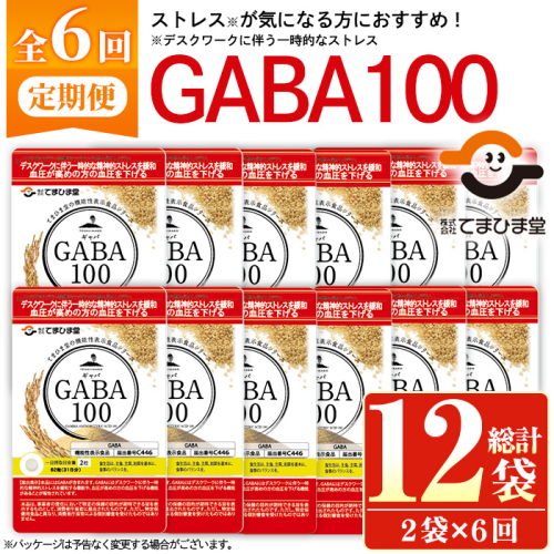No.1286-B ＜定期便・全6回(隔月)＞GABA100(1袋 62粒入・2袋×6回 計12袋) 鹿児島 日置市 健康食品 機能性表示食品 サプリ 栄養バランス 高血圧 定期便【てまひま堂】 2273766 - 鹿児島県日置市