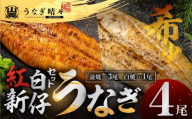 山義養魚の『うなぎ晴々』紅白セット ４尾（蒲焼３尾、白焼１尾） 希少 豊橋うなぎ 蒲焼 厳選 国産 新仔うなぎ 若うなぎ 鰻 ウナギ うなぎ ひつまぶし 土用丑の日 冷凍 丑の日 ご自宅 簡単調理 お取り寄せ 送料無料 お中元 お歳暮 贈答 ギフト タレ・山椒・岩塩つき 30000円 【11月お届け】
