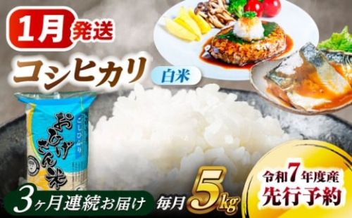 米 【3回定期便】【1月発送開始】 コシヒカリ 白米 5kg×3回 米 お米 5kg 5キロ 定期便 白米 精米 新米 コメ ご飯 ごはん 愛知県産 国産 県産米 国産米 コシヒカリ こしひかり 発送 時期 選べる 産地直送 愛西市 / 脇野コンバイン [AECP024-1] 2273916 - 愛知県愛西市