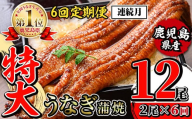 i1173-A ＜定期便・計6回(連続月)＞＼特大サイズ／鹿児島県産 うなぎ蒲焼 2尾セット ＜（約220g×2・計約440g）×全6回＞ 定期便 たれ 山椒付きうなぎ 鰻 ウナギ 特大 特大サイズ 約220g 蒲焼き 国産 鹿児島県産 焼きたて 生産量日本一 真空パック おかず 晩御飯 特別な日 土用の丑の日 【薩摩川内鰻】