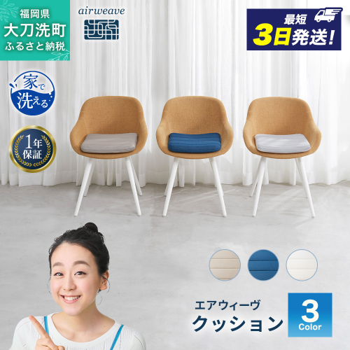 エアウィーヴ クッション オールシーズン対応 ぐっすり ホテル 安眠 健康 高反発 腰 肩 熟睡 2274354 - 福岡県大刀洗町
