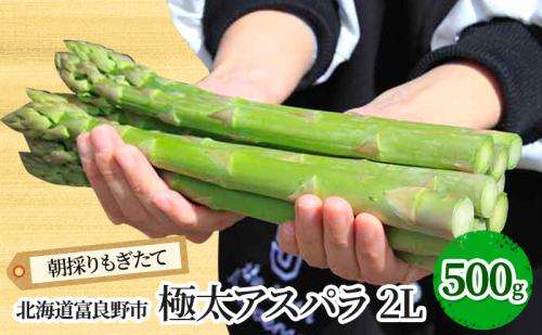 【2026年春発送】極太 グリーンアスパラ 2Lサイズ 500g 北海道 富良野市産 (スイートベジタブルファクトリー) 野菜 新鮮 直送 朝採り アスパラガス 道産 北海道 ふらの 2274470 - 北海道富良野市