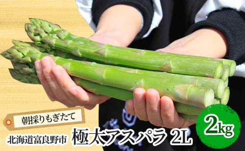【2026年春発送】極太 グリーンアスパラ 2Lサイズ 2kg 北海道 富良野市産 (スイートベジタブルファクトリー) 野菜 新鮮 直送 朝採り アスパラガス 道産 北海道 ふらの 2274471 - 北海道富良野市
