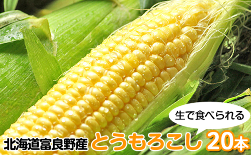 【2026年8月～発送】北海道 富良野産 生で食べられる とうもろこし【恵味（めぐみ）】 20本 (スイートベジタブルファクトリー) とうもろこし とうきび コーン 野菜 新鮮 甘い ジューシー 贈り物 2274477 - 北海道富良野市