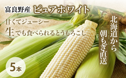 【2026年8月～発送】とうもろこし ピュアホワイト 5本 L～2Lサイズ 北海道 富良野産 生で食べられる (スイートベジタブルファクトリー) とうもろこし とうきび コーン 野菜 新鮮 甘い ジューシー 贈り物 2274478 - 北海道富良野市