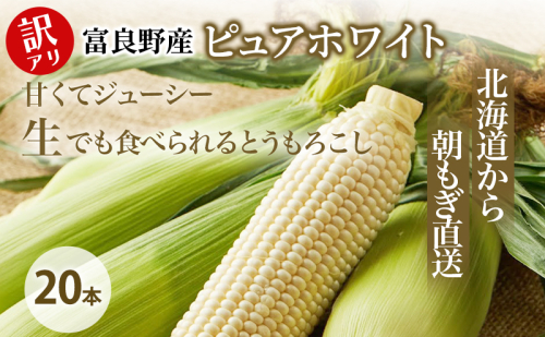 【2026年8月～発送】訳あり とうもろこし ピュアホワイト 20本 北海道 富良野産 生で食べられる (スイートベジタブルファクトリー) とうもろこし とうきび コーン 野菜 新鮮 甘い ジューシー 道産 直送 2274479 - 北海道富良野市