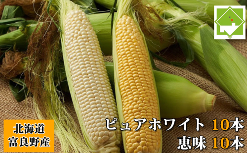 【2026年8月～発送】トウモロコシ 2種類セット 20本入 生で食べれる ピュアホワイト＆恵味(めぐみ) 北海道 富良野市 (スイートベジタブルファクトリー) とうもろこし とうきび コーン 野菜 新鮮 甘い 2274480 - 北海道富良野市