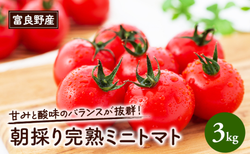 【2026年6月下旬～発送】完熟　富良野トマト　(ミニトマト)【約3kg】 (スイートベジタブルファクトリー) 野菜 新鮮 直送 朝採り トマト ミニトマト 道産 北海道 ふらの 2274482 - 北海道富良野市