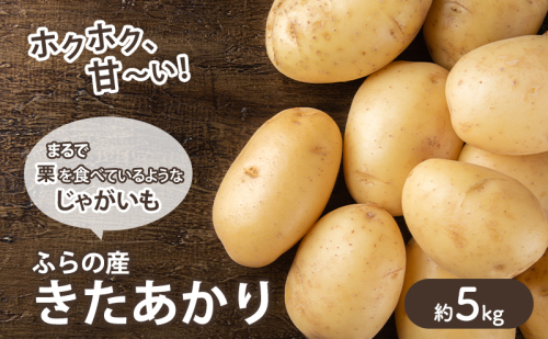 【2025年10月～発送】甘くてホクホク！じゃがいも きたあかり 【約5kg】 (スイートベジタブルファクトリー) 野菜 新鮮 直送 朝採り じゃがいも 芋 インカのめざめ いんか 道産 北海道 ふらの 2274486 - 北海道富良野市