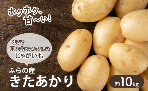 【2025年10月～発送】甘くてホクホク！じゃがいも きたあかり 【約10kg】 (スイートベジタブルファクトリー) 野菜 新鮮 直送 朝採り じゃがいも 芋 インカのめざめ いんか 道産 北海道 ふらの 2274487 - 北海道富良野市