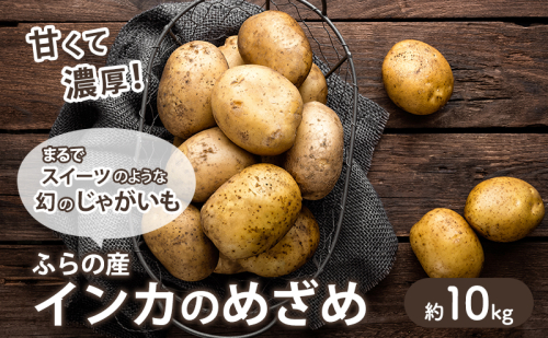 【2025年10月～発送】濃厚な甘さ！黄金のジャガイモ　インカの目覚め 【約10kg】 (スイートベジタブルファクトリー) 野菜 新鮮 直送 朝採り じゃがいも 芋 インカのめざめ いんか 道産 北海道 2274490 - 北海道富良野市